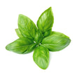 Basil Leaves 150 g